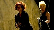 Photo 500x342